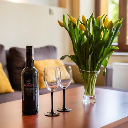 Karkonosky Apartamenty - Szosa Czeska I Szklarska Poręba Zewnętrze zdjęcie